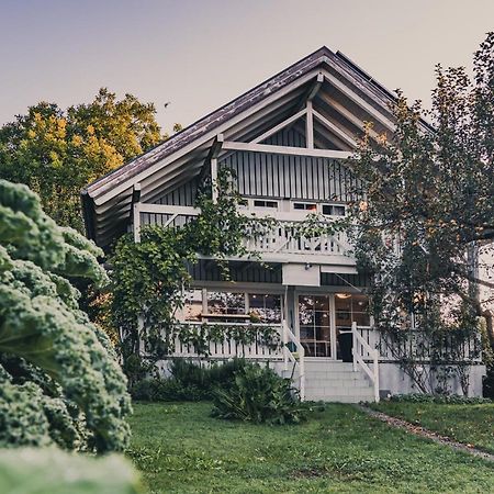 Gardenia-Altach, 2-4 P, Kueche, Garten, Terrasse, Parkplatz, Wifi, Ski Stellplatz Екстер'єр фото